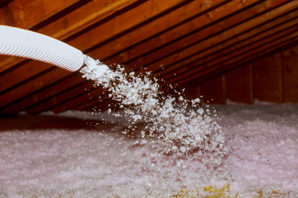 Best Eco-Friendly Insulation in Wrightsville, AR