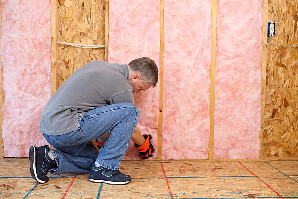 Best Spray Foam Insulation in Wrightsville, AR